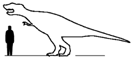 Albertosaurus scale