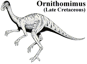 Dinosaur Ornithomimus